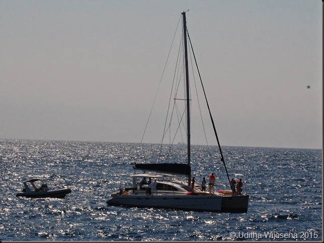 DSC_0477 DSC_0477
