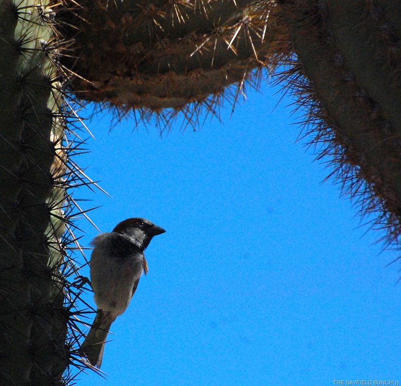 [DSC_8655%255B4%255D.jpg]