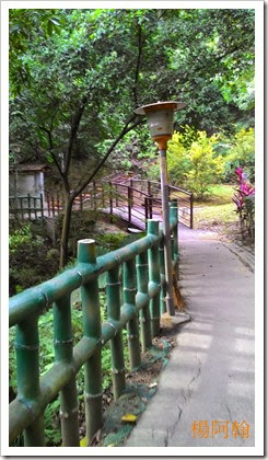 1106 142 - 孫龍步道