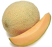 Melão cantaloupe melao-cantaloupe