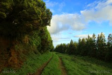 IMG_4553 IMG_4553