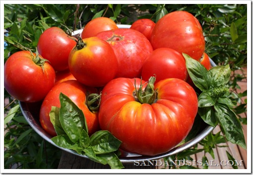 heirloom tomatoes, organic gardening