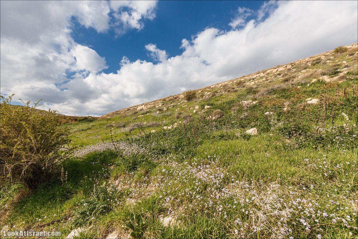 LookAtIsrael.com - Ущелья Харитона и Суккийская лавра в ущелье Ткоа | Wadi Tekoa and Hariton Cave | נחל תקוע מערת חריטון