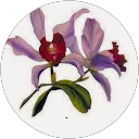 Image Google de karine karcher