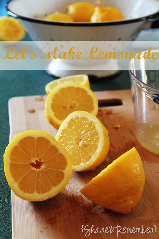 [Lets-make-lemonade11.jpg]