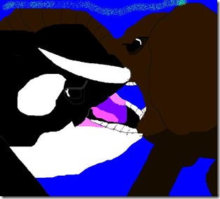 Now-We-Lock-Our-Mouths-orca-killer-whale-vs-elephant-24960522-858-629