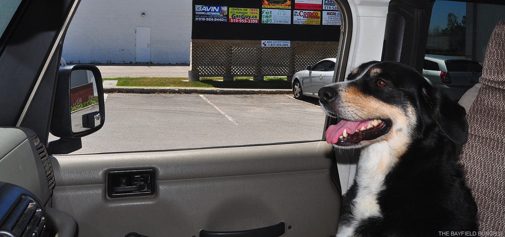 [DSC_0063%255B4%255D.jpg]