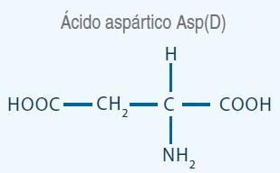 acido asparatico