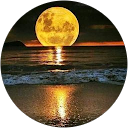 Image Google de Peggy Meyer
