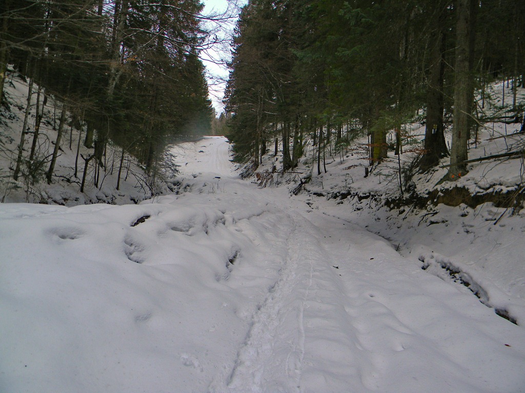 [DSCN36383.jpg]