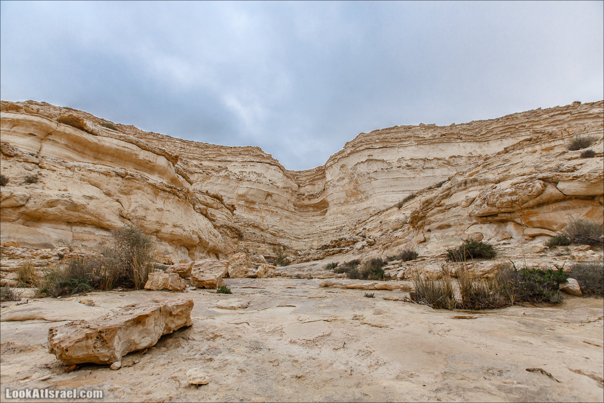 Ручей Акев и источник Эйн Акев в пустыне Негев. LookAtIsrael.com - Фото путешествия по Израилю