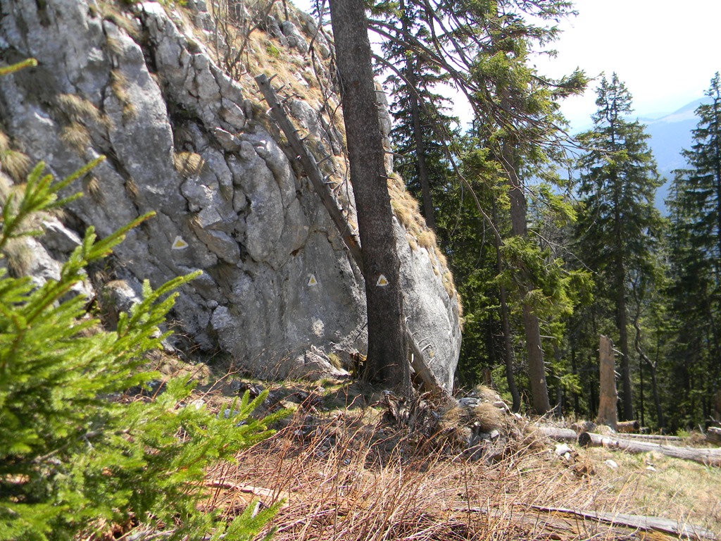 [DSCN76583.jpg]