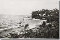 679-Sharknet-beach-a 679-Sharknet-beach-a
