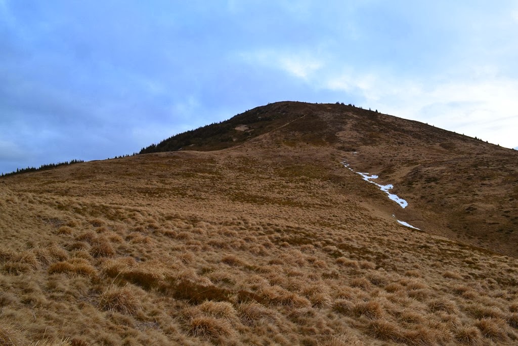 [DSC_05003.jpg]