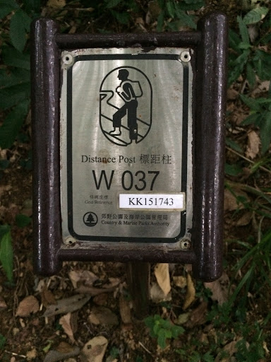 Wilson Trail Sec 4 - Distance Post W037