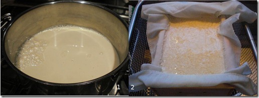 Tofu1 Tofu1