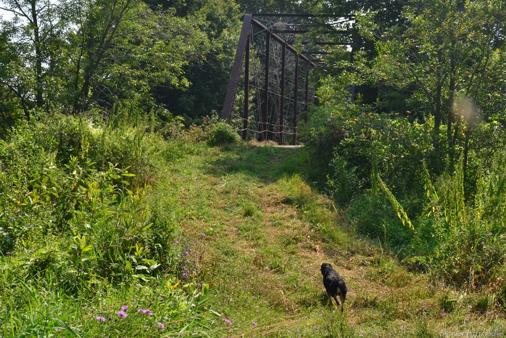 [DSC_0010%255B3%255D.jpg]