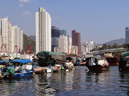 15. Vase pescaresti in Hong Kong.JPG