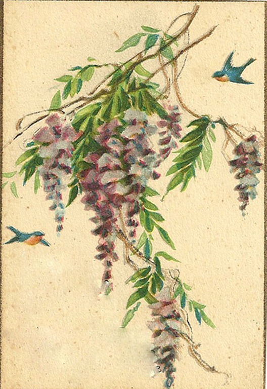 [wisteriabirds%255B18%255D.jpg]