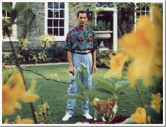 fred_mercury_last_photo fred_mercury_last_photo