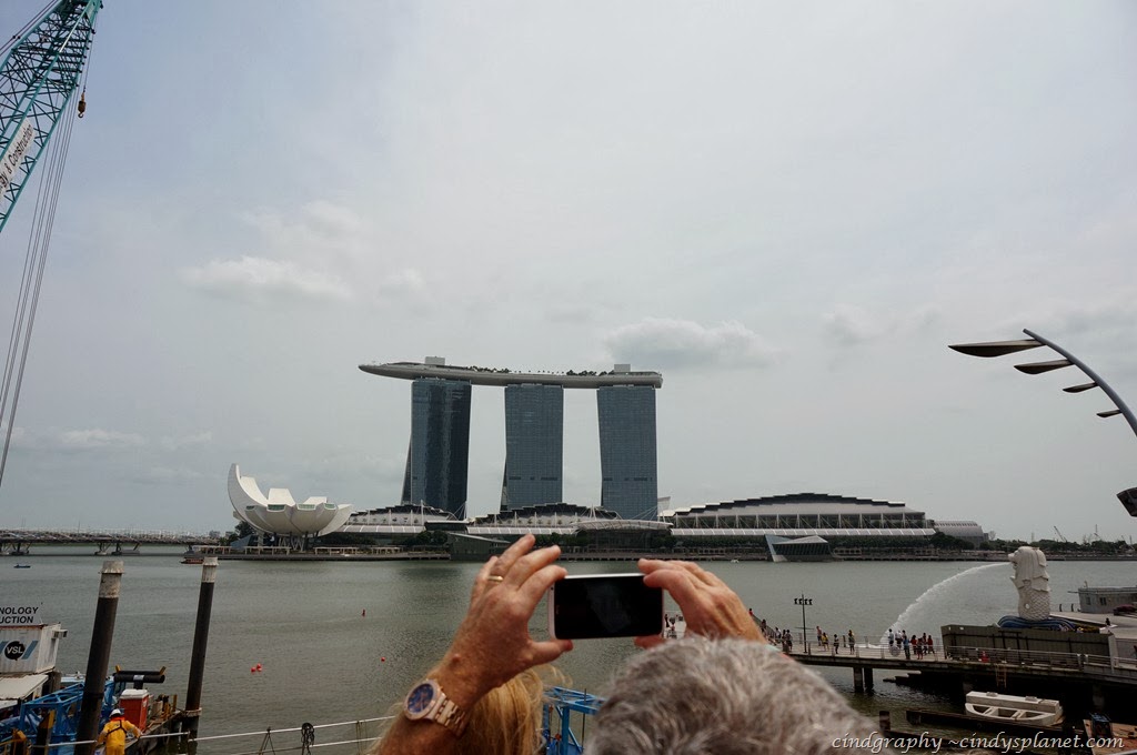 [Singapore-Trip1103.jpg.webp]