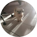 Image Google de leeline B