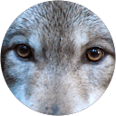 Paco Colas profile picture