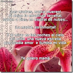 madres fallecidad (43) madres fallecidad (43)