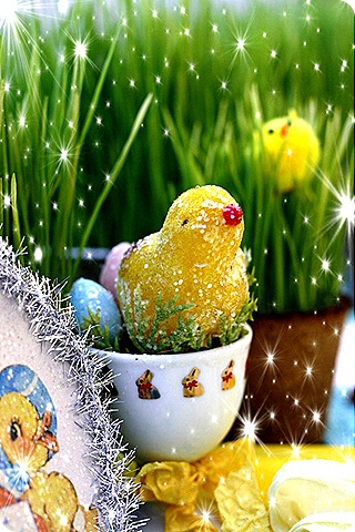 Photo edited with http://www.tuxpi.com Photo edited with http://www.tuxpi.com