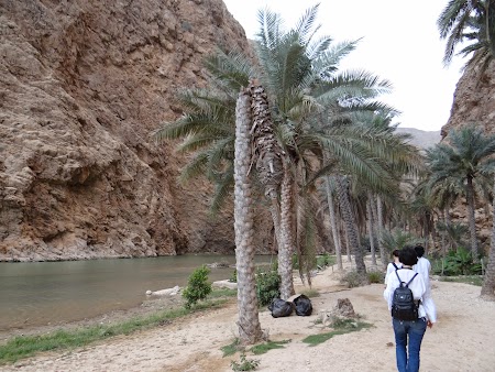 Debarcarea in Wadi Shab