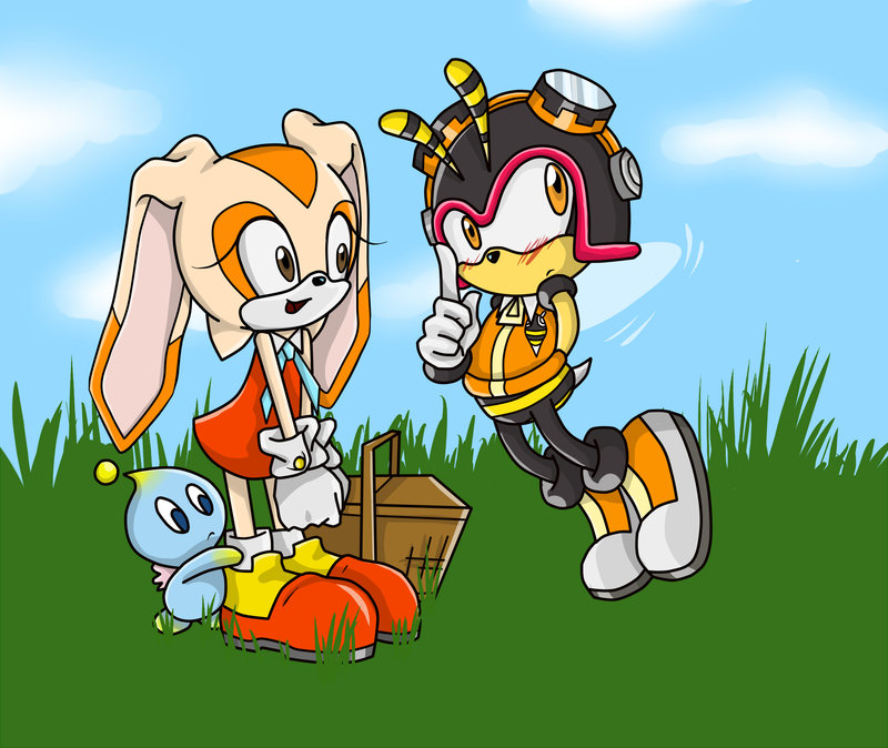 Чарми из соника картинки