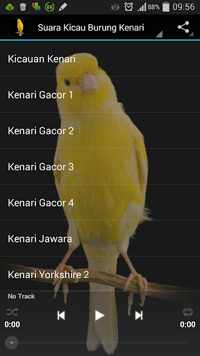 免費下載音樂APP|Suara Kicau Burung Kenari app開箱文|APP開箱王