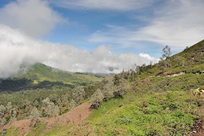 DSC_0054.jpg