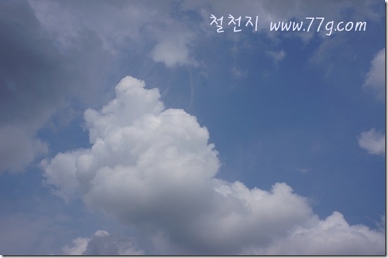철천지DSC07692-20120731-130622