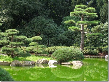Beautiful-Japanese-Garden-3