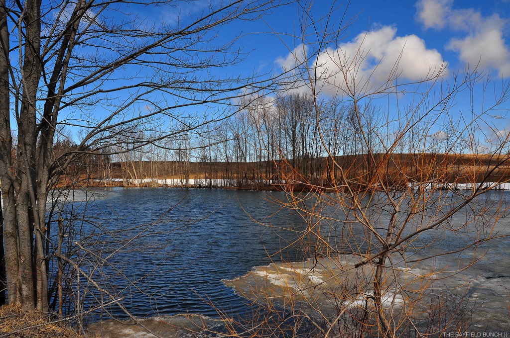 [DSC_0003%255B4%255D.jpg]