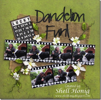 Dandelion-Fun_1