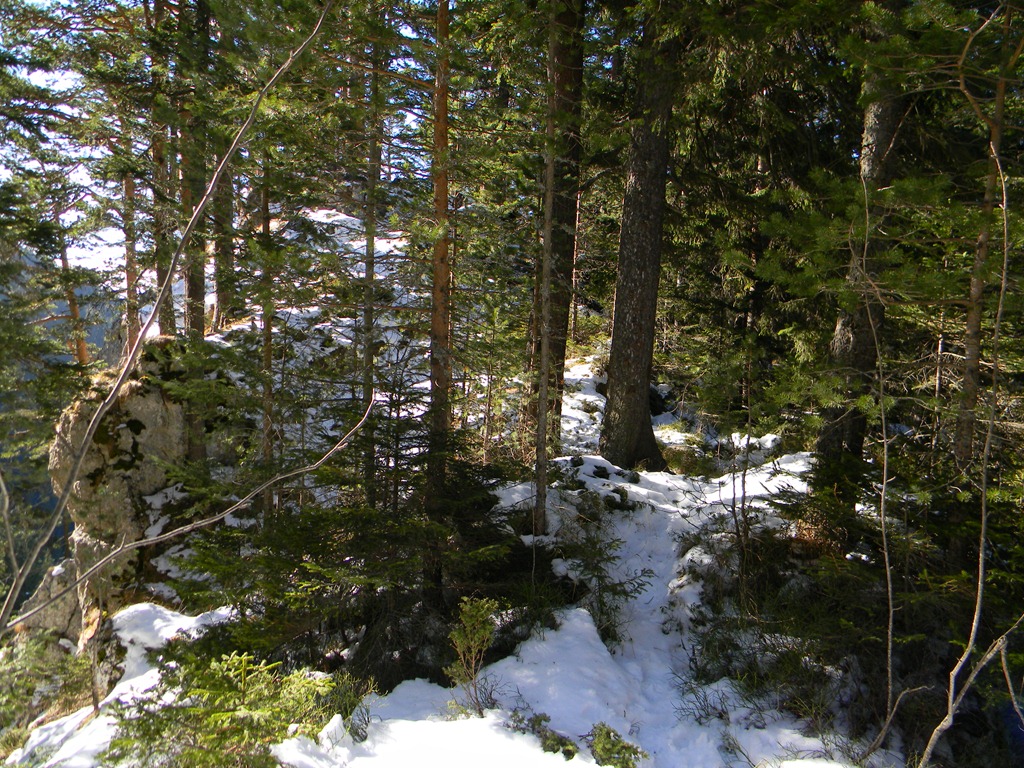[DSCN30293.jpg]