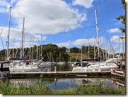 IMG_2042 IMG_2042