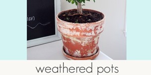 weathered pots