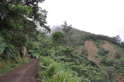 DSC_0777.JPG