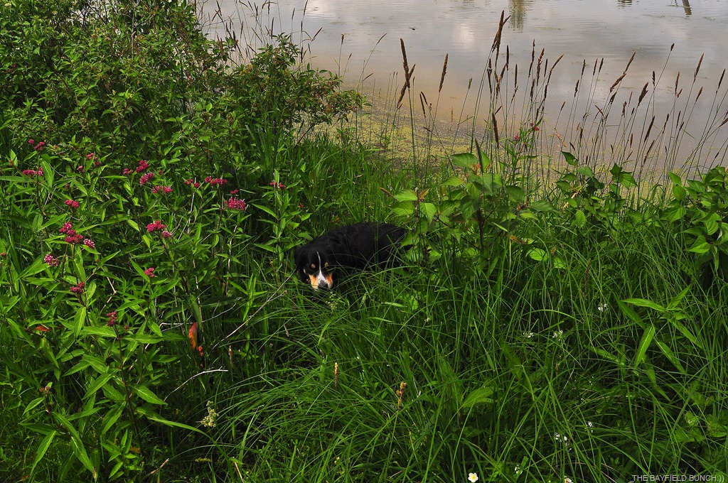 [DSC_0032%255B3%255D.jpg]