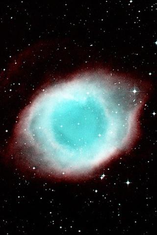 Ascw12706
