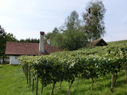 Burgenland 2012 - 045