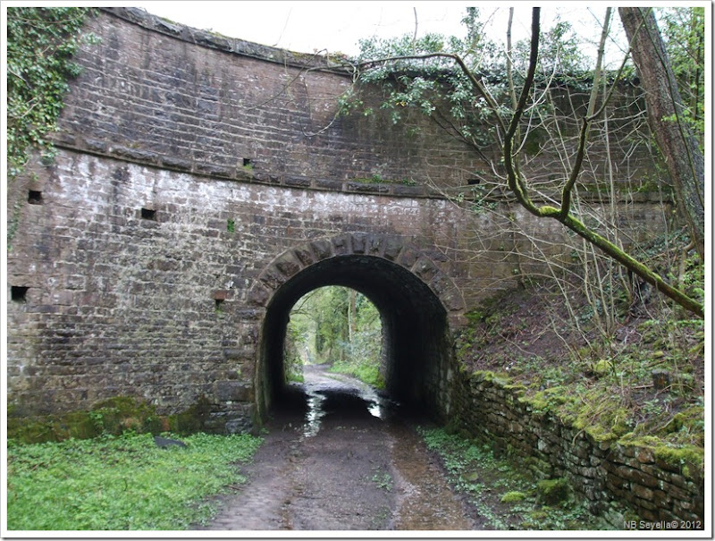 DSCF0473 Strines Aqueduct