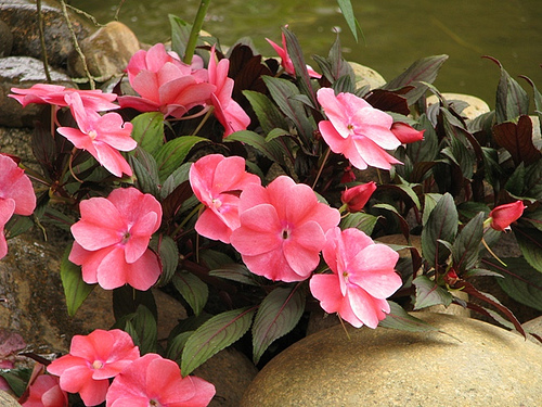 [image%255B54%255D.png]