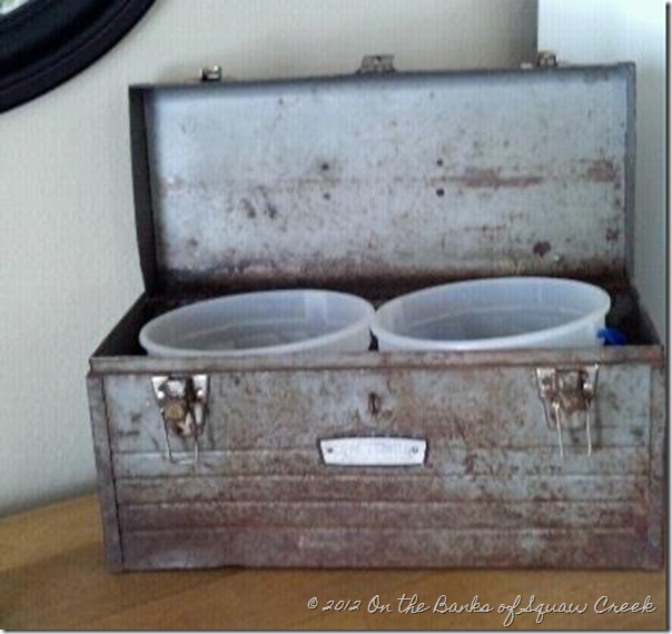 ice cream buckets in tool box for planting