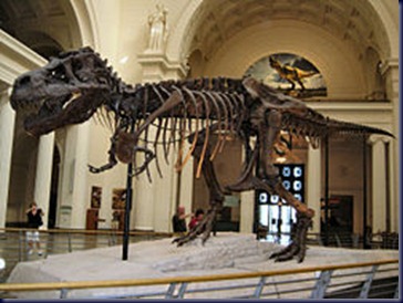 250px-Sue,_Field_Museum_of_Natural_History