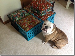 dog crates target on Here is a step-by-step guide of how I made them: