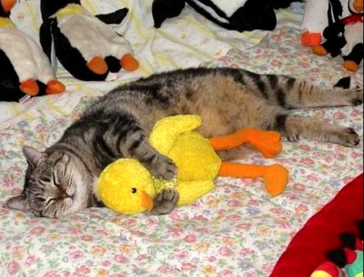 [03ba831bb91e2f9ac9a0482df7e_prev%255B10%255D.jpg]